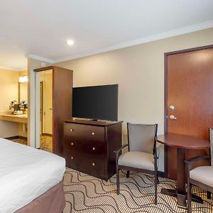 Queen Room Mobility accessible